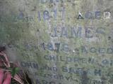 image of grave number 443995